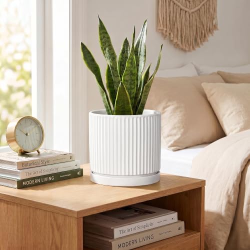 Ceramic Plant Pots 6 Inch, Round Pots for Plants with Tray, White