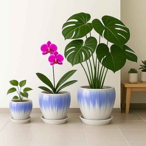 Deep Dream 8 Inch Plant Pots- Ceramic Pots for Plants with Drainage Hole and Saucer, Large Planter Pot for Indoor Plants Outdoor Decor, White&Blue