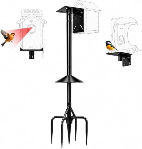 Bird Feeder Pole, 76Inch Heavy Duty Stand with 1-Inch Diameter, Outdoor Bird House Pole Mount for Hanging Feeders (Black, with Squirrel Baffle) (76in-Pole with Baffle)