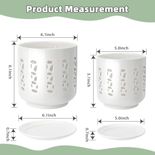 BUYMAX Ceramic Orchid Pots with Holes Orchid Root Care Set of 2 Flower Pot