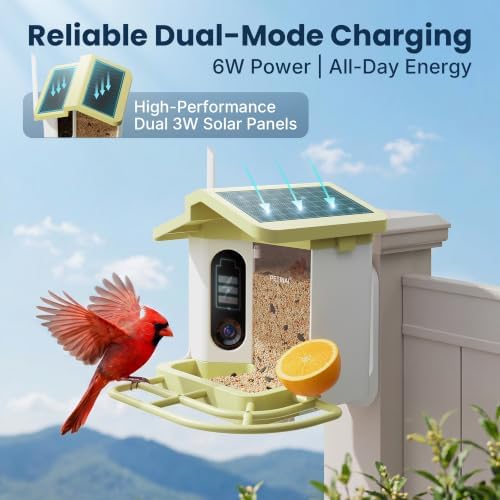 Smart Bird Feeder with 2K HD Camera -Solar Powered,AI Identify Bird Species