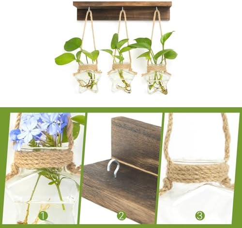 XXXFLOWER Wall Hanging Propagation Station with 3 Star-Shaped Glass Vase