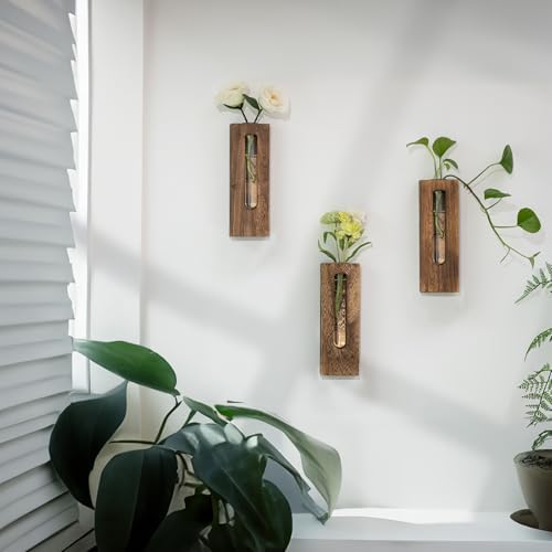 Farmhouse Wall Plant Propagation Station with Glass Tubes