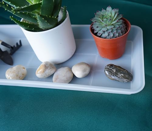 VUWEZ 6 Pack Plastic Plant Saucer, Rectangular, Indoors Outdoor, Drip Tray for Flower Pot, Windowsill (6 X 11 Inch, Clear)