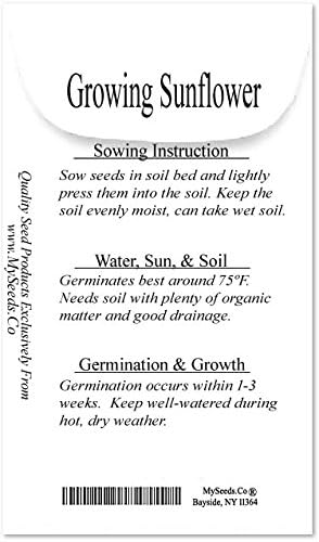 1 lb (6,500+ Seeds) Sunflower Sunny Sun Flower Crazy Mix Sunflower Seeds - Non-GMO Seeds By MySeeds.Co (1 lb Sunflower