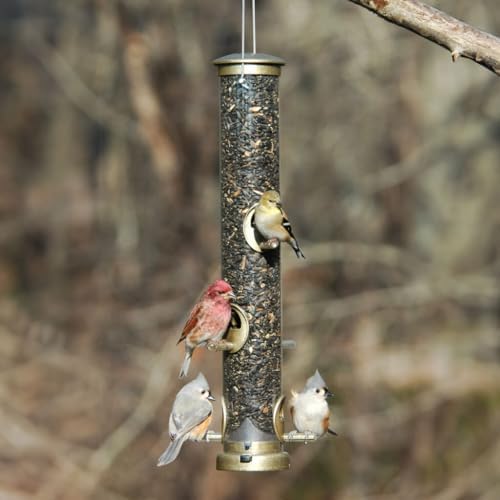 Aspects Small Seed Tube Feeder in Blue Size: Large, Finish: Antique Brass