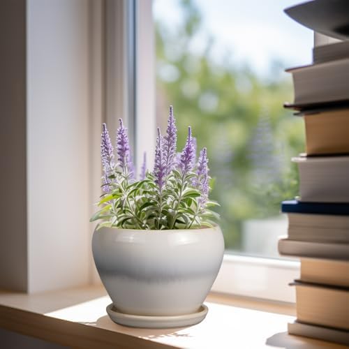 Ceramicfor Planter Pot 6 Inch - Ceramic Plant Pot with Drainage Hole and Saucer, Round Glaze Succulent Pot for Plants, White