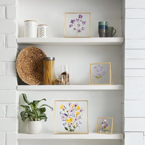 REDHUGO Double Glass Frame for Pressed Flowers, Square, Gold, 10x10 Inches