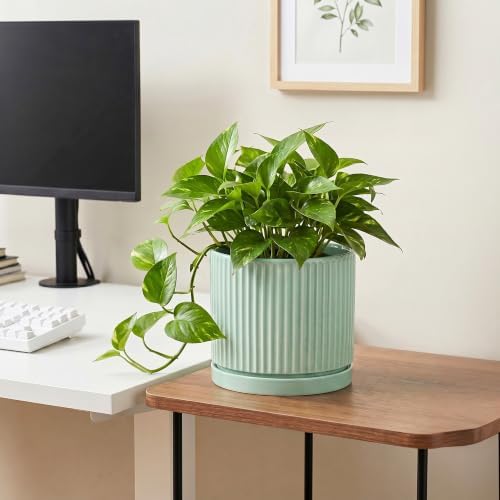Ceramic Plant Pots, 8 Inch Pots for Plants with Saucer, Mint Green