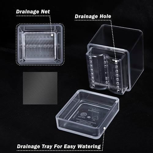D'vine Dev 6-Pack Acrylic Herb Planter Pots, 4 in, Clear, 76-Y-D-1