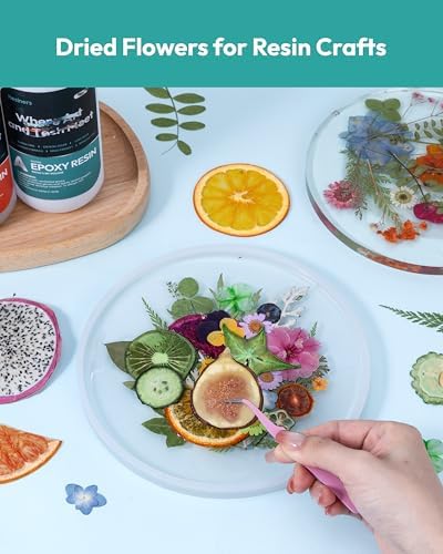 Resiners Dried Pressed Flowers for Resin Molds Scrapbook Supplies