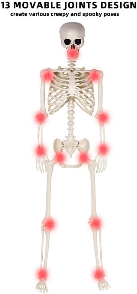 2 Pack 36" Halloween Skeleton - 3 ft Life Size Human Skeleton with Posable Joints - Spooky Scary Plastic Full Body Skeletons for Outdoor Halloween Decoration, Party Decor, Haunted House Props