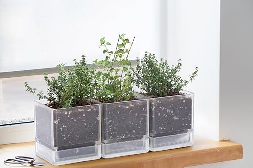 D'vine Dev 6-Pack Acrylic Herb Planter Pots, 4 in, Clear, 76-Y-D-1