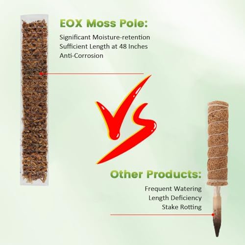 EOX Plastic Moss Pole for Monstera and Climbing Plants, 48-Inch, 2-Pack