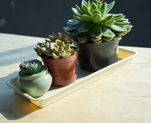 VUWEZ Rectangular Plastic Plant Saucer, 6 Pack - Indoor/Outdoor Water Drip Tray for Flower Pots and Planters, Windowsill (6.5 X 13 Inch, Beige)