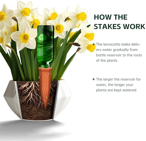 Soilagua Wine Bottle Watering Spikes, Terracotta Watering Spikes for Out | Indoor Plants, Self Watering Planter Insert, Vacation Plant Watering Devices, Clay Plant Watering Globes, 8-Pack