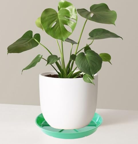 Plant Saucer Pot Tray 14 inch, 4 Packs Flower Planter Saucers and Drip Trays, Heavy Duty Round Plastic Flower Plant Dish Pant Plate to Catch Water for Indoor & Outdoor, Green