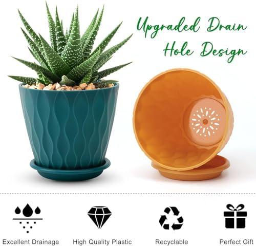 YNNICO 6 inch Plant Pots, 5 Pack Flower Pots Outdoor Indoor, Planters with Drainage Holes and Tray Saucers（Multicolor）