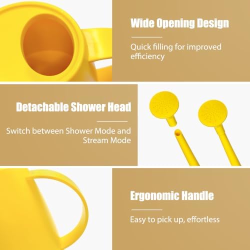 60 oz Watering Can, Watering Can Indoor Plants, Long Spout Small Water Can