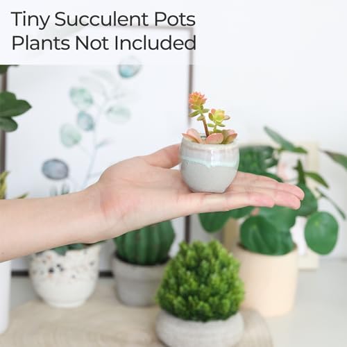 T4U Mini Ceramic Succulent Pots, Small Gift Planters, Retro Decor Set of 6