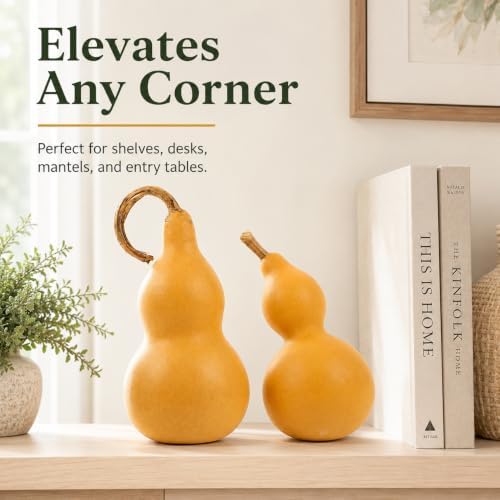 DECHOUS 2Pcs Natural Gourd Decor Chinese Wu Lou Sculpture Feng Shui Decor for Home Desktop Decoration DIY Crafts, Gourd Height About 9-14cm