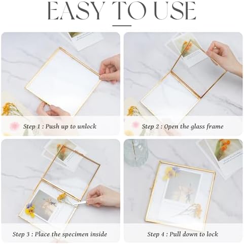 REDHUGO Double Glass Frame for Pressed Flowers, Square, Gold, 10x10 Inches