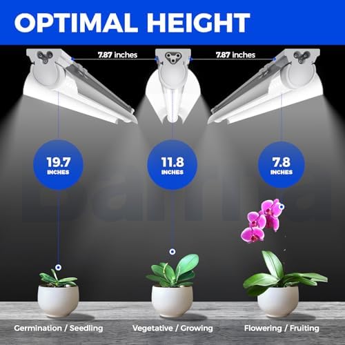 Barrina T8 Grow Lights for Indoor Plants, 5000K Full Spectrum, 1FT, 4 Packs