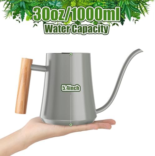 Green Moon 1L/35oz Metal Watering Can Indoor with Long Spout, Gray