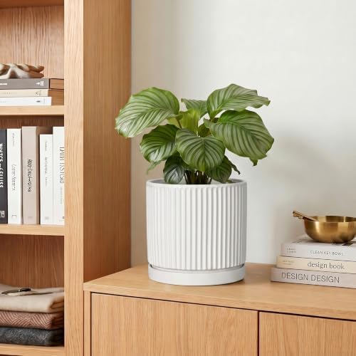 Ceramic Plant Pots 6 Inch, Round Pots for Plants with Tray, White