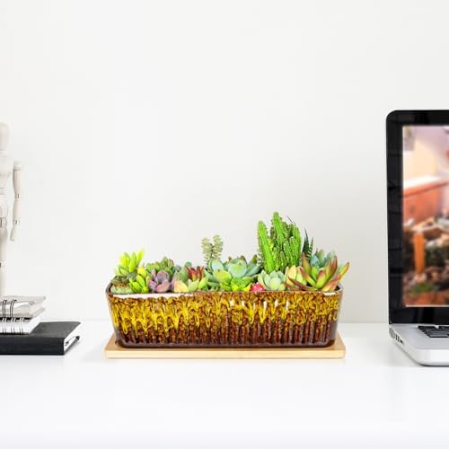 Succulent Pots, 12'' Long Rectangle Planters with Tray, Windowsill Planter