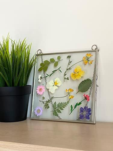 Glass Frame for Pressed Flowers, Leaf and Artwork - Hanging Square Metal Picture Frames, Clear Double Glass Floating Frame, Wall Decor Photo Display, Set of 2 Flower Press Frames with Chain (Silver, 6x6)
