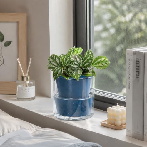 D'vine Dev Self-Watering Blue Terracotta Planter, 4 in, 2-Pack, 37-Y-A-4