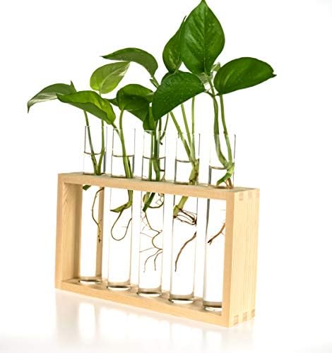Wooden Propagation Station with 5 Glass Test Tubes, Tabletop Glass Terrarium Holder for Plant Cuttings Hydroponics, Home Office Desk Decor Gift for Women Mom Plant Lovers, Beige