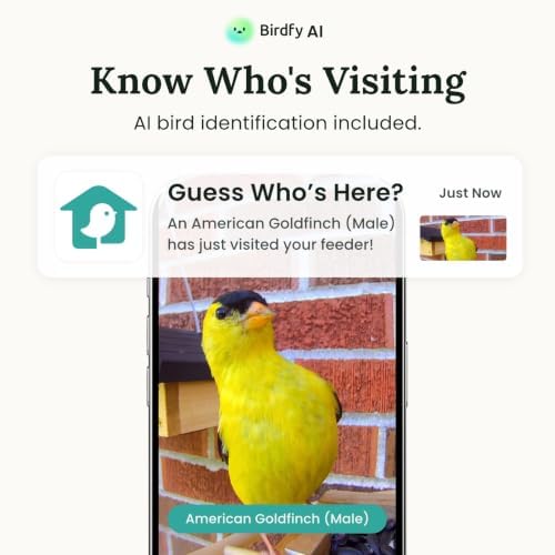 Birdfy Smart Bird Feeder with Camera Solar Powered, Slow-Motion Video & Night Insight, AI Identify 6000+ Species Lifetime Free, Ideal for Outdoors Bird Watching & Gifts for BirdLovers, Wood