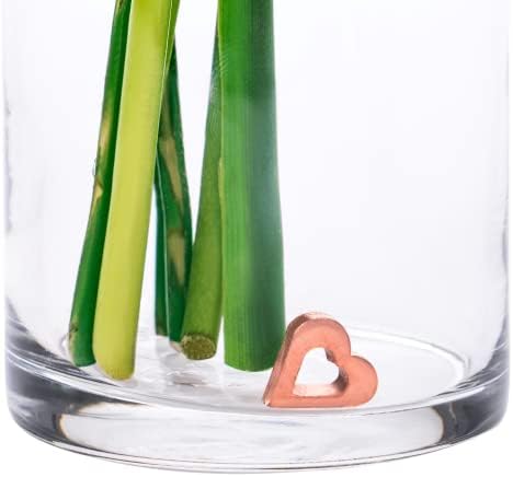 Flower Food Alternative for Fresh Cut Flowers. Copper Charm Keeps Flower Water Clean and Clear. Just Place it in the Vase, Reusable Heart 10