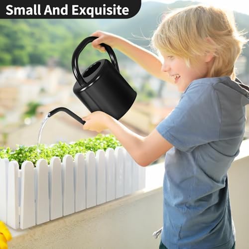 Watering Can, Stainless Steel Watering Can for Indoor & Outdoor Plants, 1L/35oz Long Spout Water Can with Handle, Rust-Proof Plant Watering Pot for House Plants, Garden Flowers