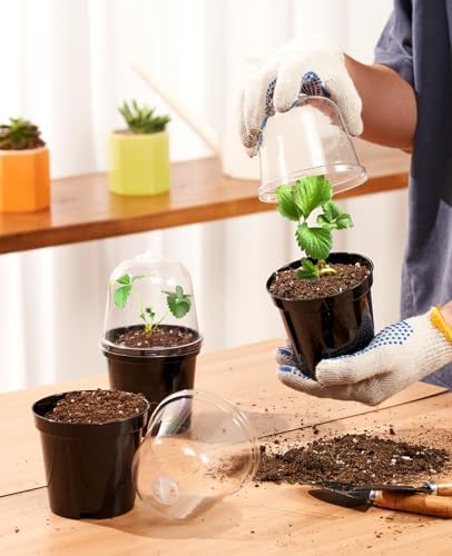 homenote 5 Inch Nursery Pots with Humidity Domes for Seed Starting (15 Pcs)