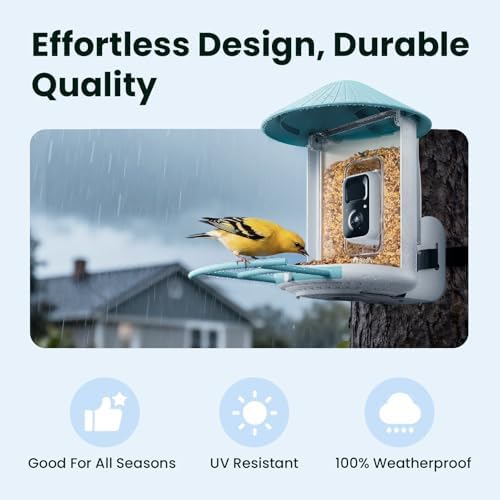 Birdfy Bird Feeder with 2K AI Camera Solar Powered, Trending Gift