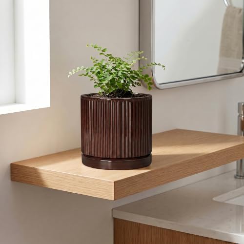 Ceramic Plant Pots, 6 Inch Pots for Plants, Round Planter, Brown