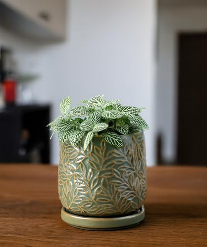 D'vine Dev Embossed Leaves Ceramic Planter, 4 in, Olive, 27-A-Z-0