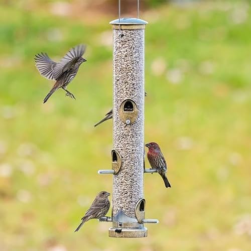 Aspects Small Seed Tube Feeder in Blue Size: Large, Finish: Antique Brass