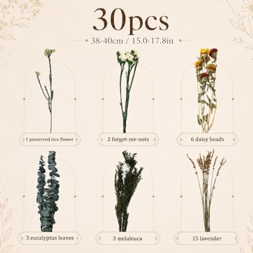 Yellow Red Dried Flowers Bouquet Set Fall Rustic Boho Flowers