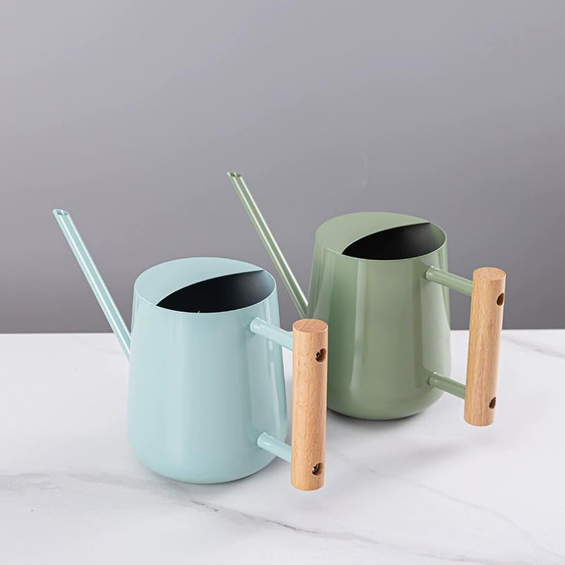 Watering Can Indoor Plants, 30oz/900ml Small Plant Watering Can with Long Spout, Stainless Steel Garden Watering Cans