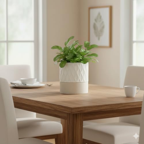 Nihow Ceramic Self Watering Plant Pot for Indoor Plants, 6 Inch,Cream White