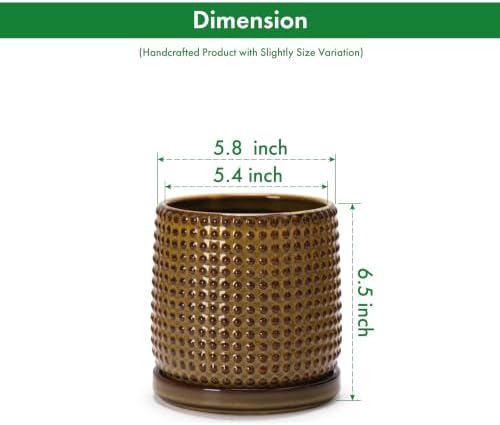 D'vine Dev Beaded Ceramic Pot with Saucer, 6 in, Olive Bronze, 27-C-X-N