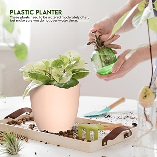 Plant Pots Indoor with Drainage, 5 Pack Multi-Size Planters Set, Pink