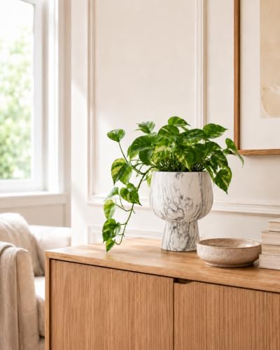 Self Watering Pots for Indoor Plants, 6 Inch Ceramic African Violet Pot