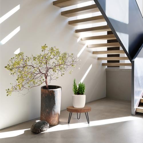 OBTAIN Plant Stand Indoor Outdoor, Wooden plant Stool, Mid Century Plant Stand for Indoor Plants, Wood Modern Plant Holder Rattan Flower, Low Short Boho Rustic Planter Stand Fit 5-15 Inch Pot(M)