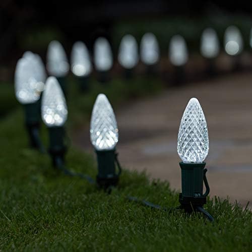 Wintergreen Lighting 50’ OptiCore LED Cool White Christmas Pathway Lights, C9 Outdoor White Christmas Lights, 4.5” Stakes, Green Wire Plug String Lights