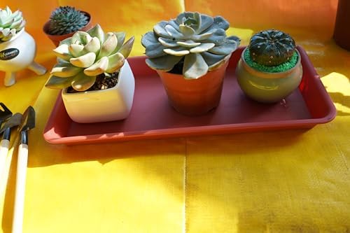 VUWEZ 6 Pack of Plastic Plant Tray Saucer Rectangular, Plant Trays Saucers for Indoors Outdoor, Plant Water Drip Tray for Flower Pot Planter, Windowsill Plant Tray (6.5 X 13 Inch, Terracotta)